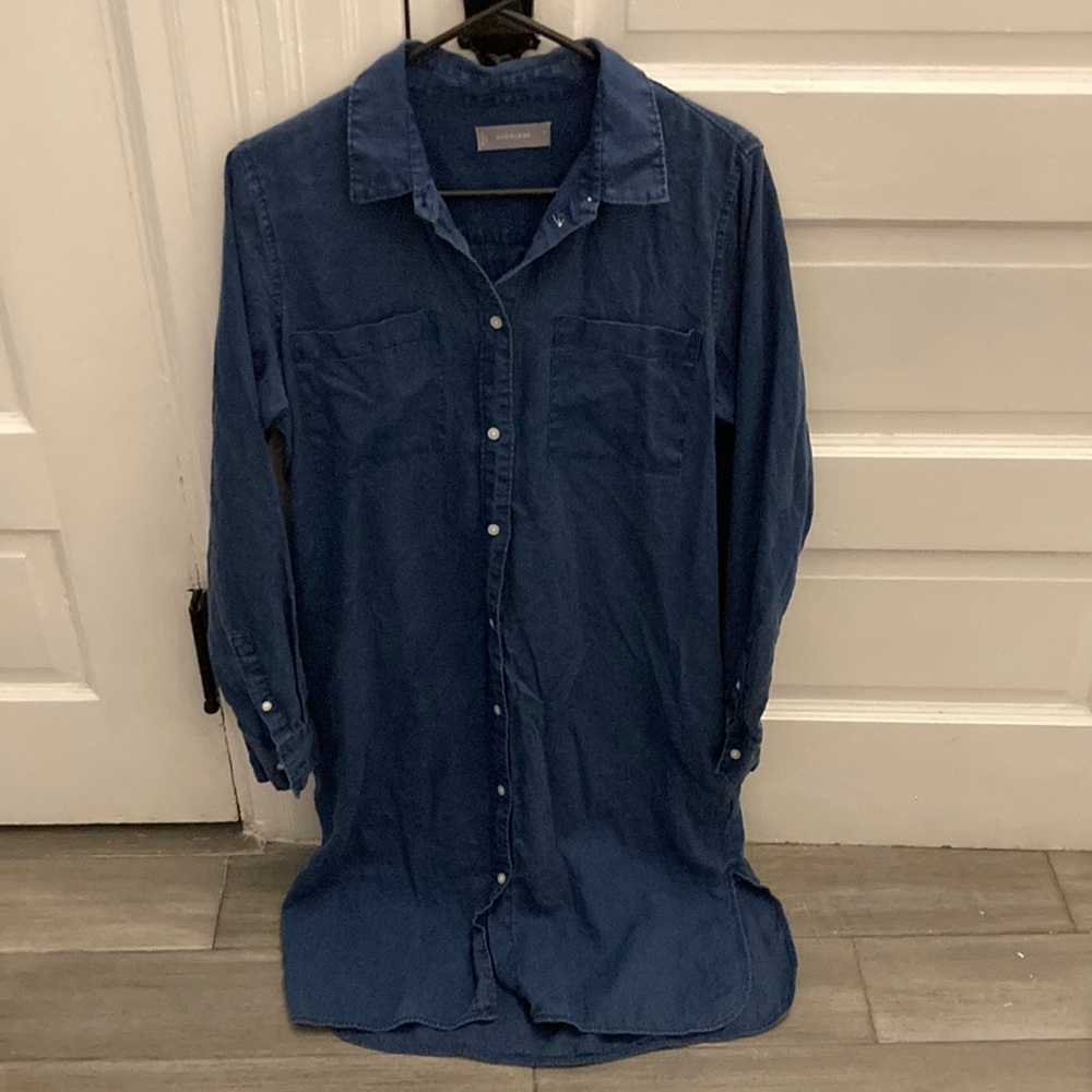 Everlane button down dress